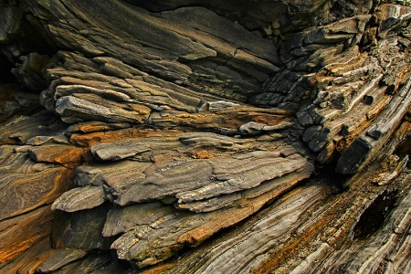 Petrified Wave