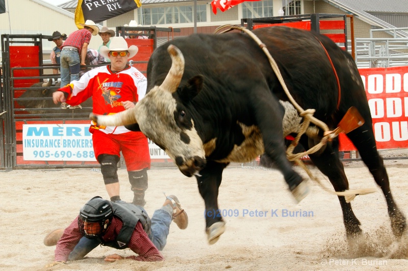 Scary Moment, Rodeo