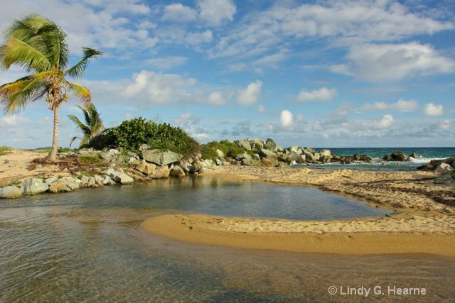 Puerto Rico Pools