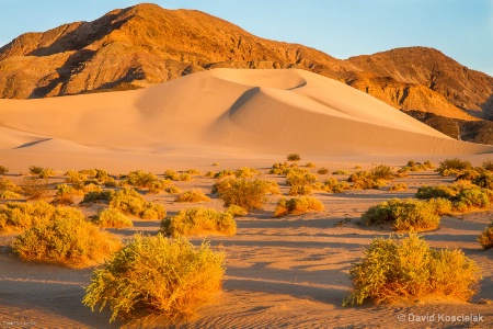 ibex dunes death valley