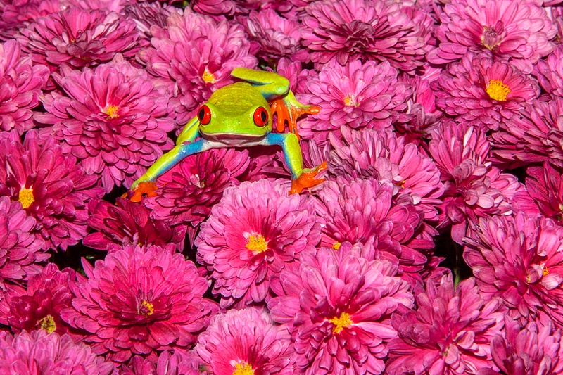 23115