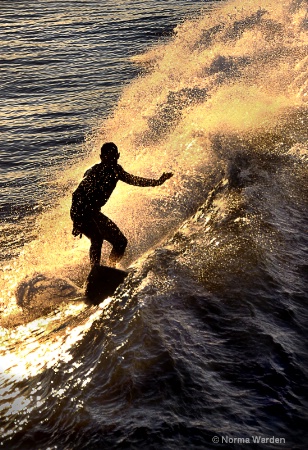 Lone Surfer