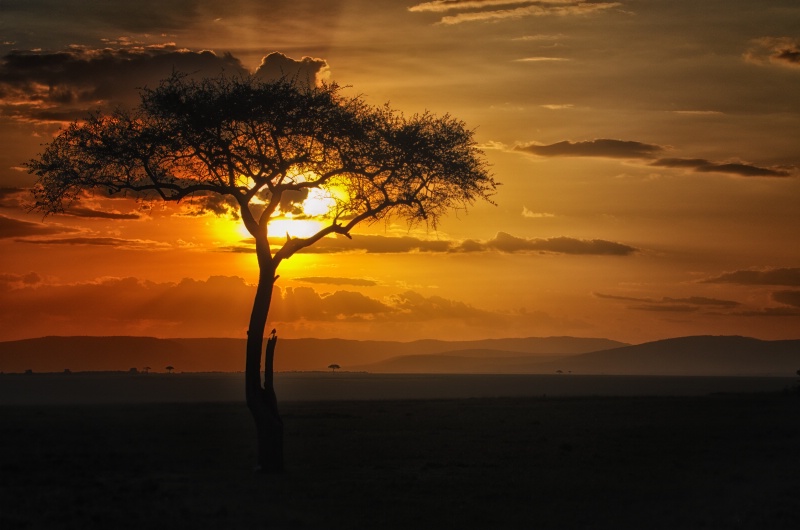 Sunset on the Masai Mara