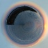 © Elliot Barnathan PhotoID# 13574540: Galvaston Sunset