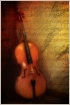 The Cello