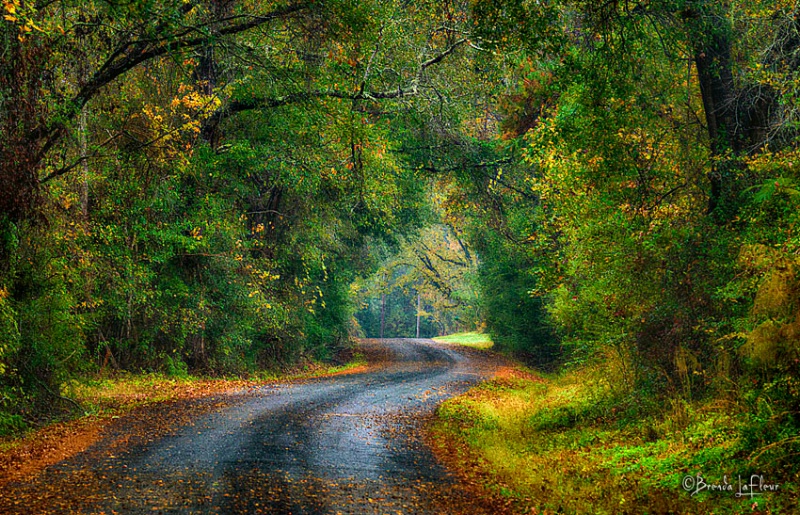 Another Country Road