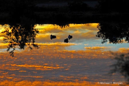 floating in the sunrise...