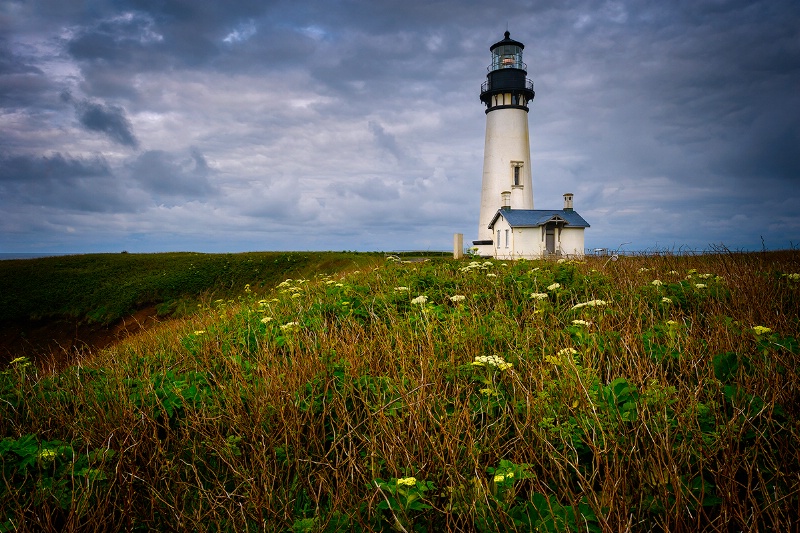 Stormy Yaquina