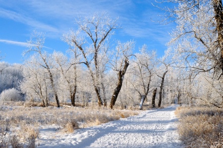 "Beautiful Winter day for a walk"