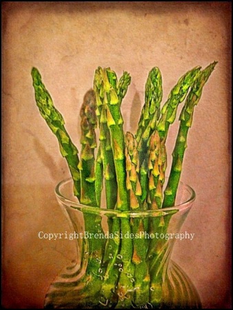 ~Keeping Asparagus Fresh~
