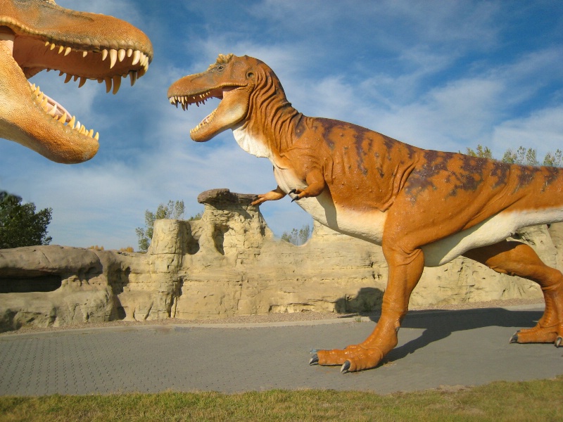 img20