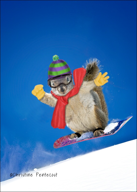 Snowboarding Squirrel