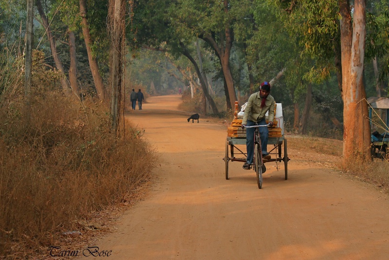 Proceeding to the Saturday Market.