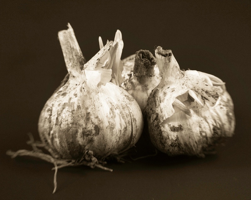 lensbaby garlic