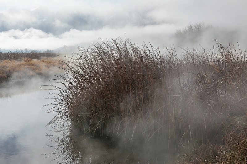 Eastern Sierra Wetlands