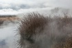 Eastern Sierra We...