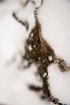 Tree stump from a...