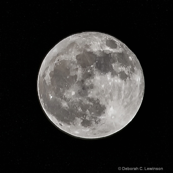 Full Moon - ID: 13591524 © Deborah C. Lewinson