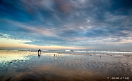 Extreme Low Tide