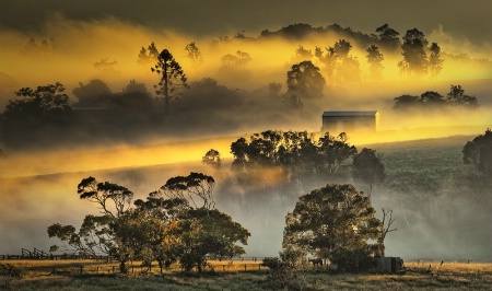 Tablelands mist