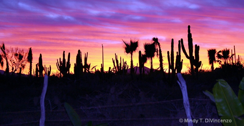 Baja Sunrise over the fence