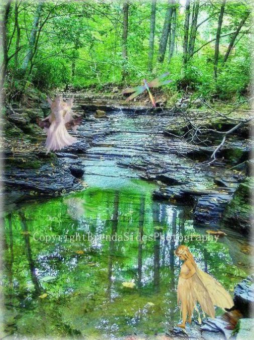 ~Fairy Creek~
