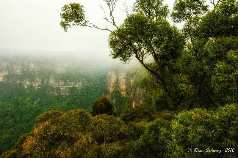 Australia: Blue Mountains in the Mist