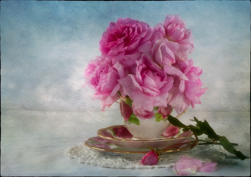 Roses in a Teacup