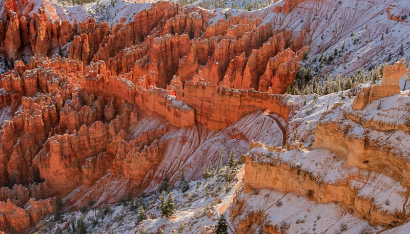 Bryce Canyon Trail - ID: 13599890 © John D. Roach