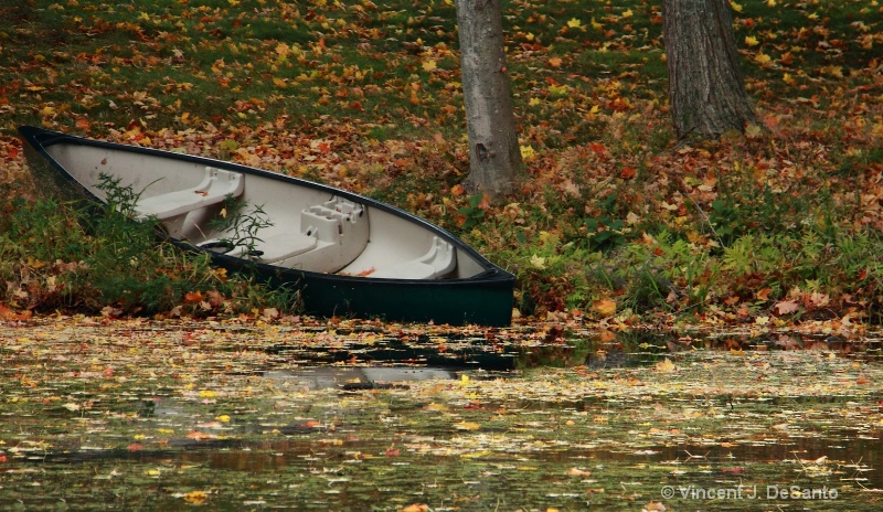A Lonely Canoe