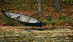 A Lonely Canoe
