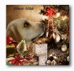 The  Christmas Wi...