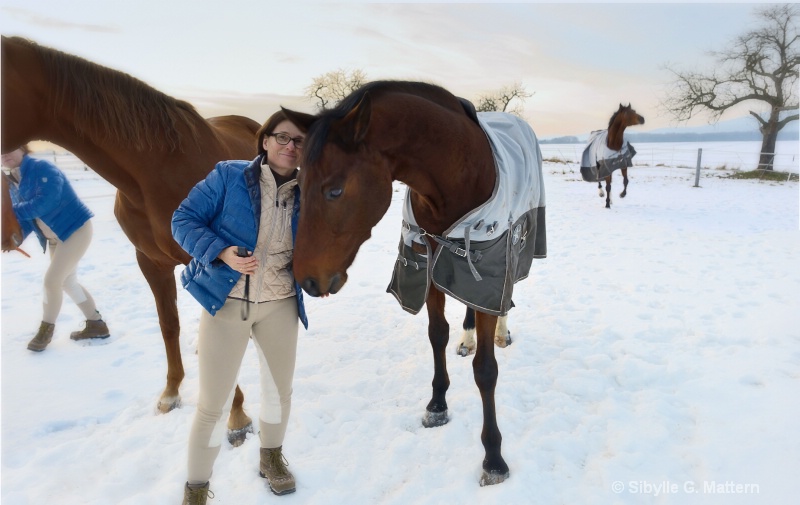 Me Myself I: with horses in winter - ID: 13604130 © Sibylle G. Mattern