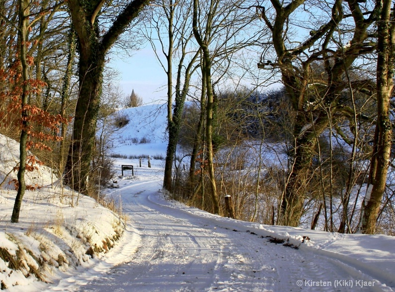 Country Road In Winter