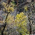 © Hsiao-Tung Yang PhotoID # 13605921: Color of Siwanava Temple