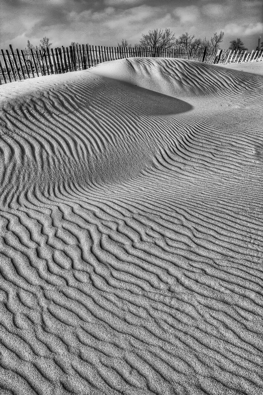 Dunes and Fence