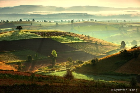 Misty Morning