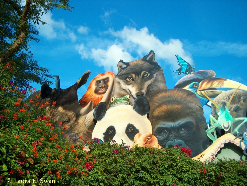 Animal Kingdom