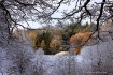 A Clearing In The...