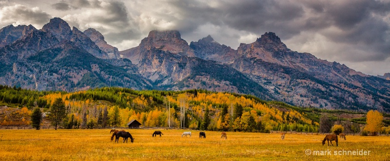 Golden Pastures - ID: 13608064 © Mark Schneider