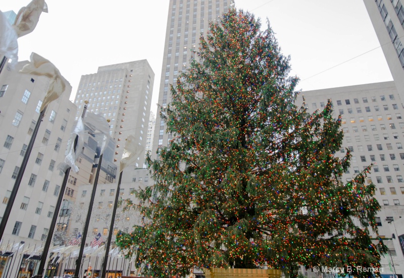 Rockefeller Tree