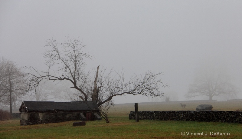 Foggy Shed