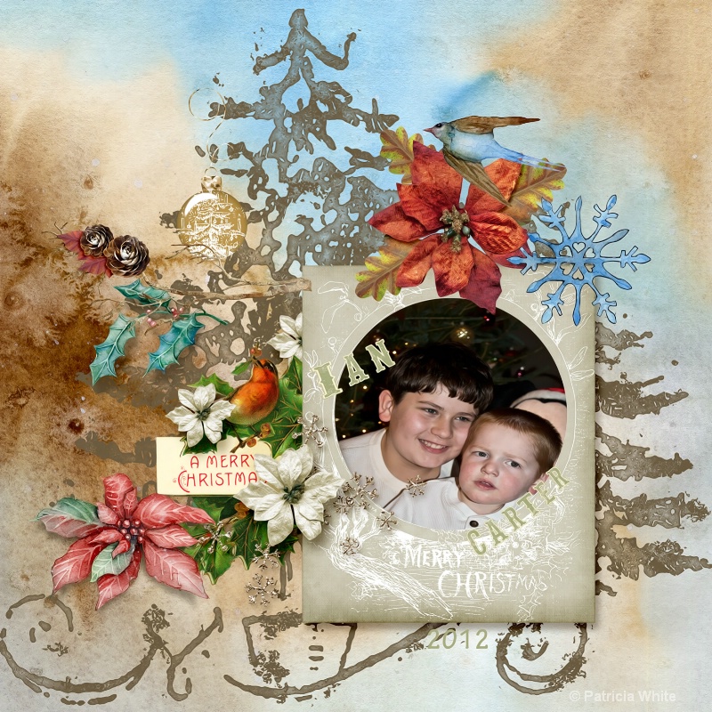 Christmas Card from Ian and Carter