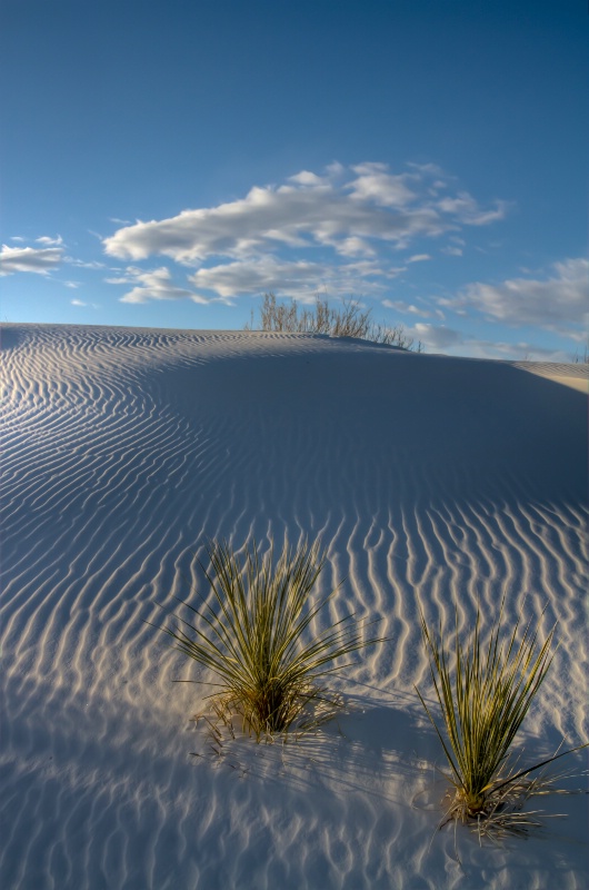 White Sands New Mexico