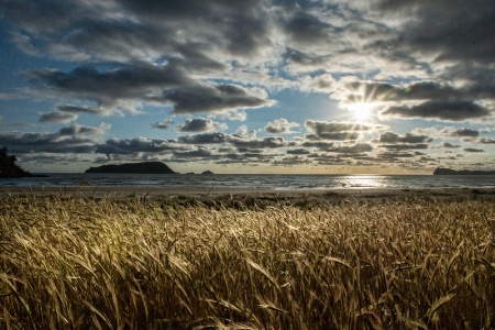 Energy transfer on the New Zealand shore