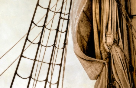 Sepia Sails