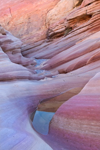 Pink Canyon