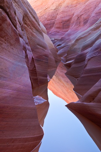 Flooded Pink Canyon