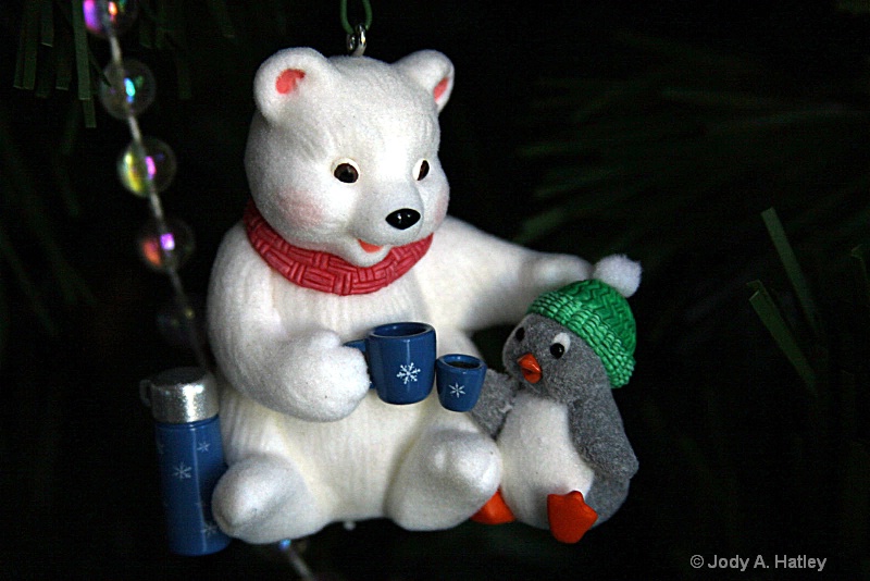 Christmas Joy - ID: 13620593 © Jody A. Hatley