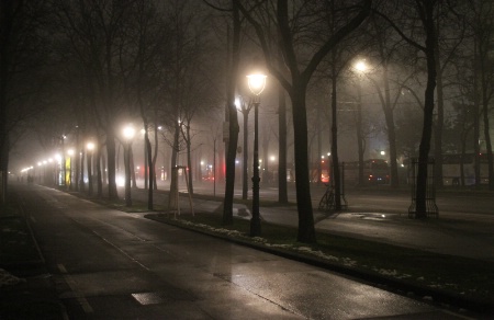 Foggy Vienna